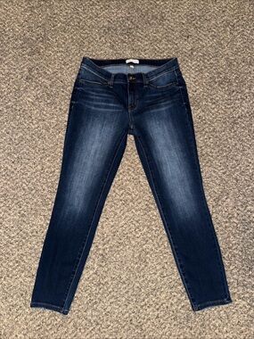 LILA RYAN Indigo Blue Skinny Jeans with Faded Front